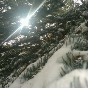 Meet your Posher, Miranda